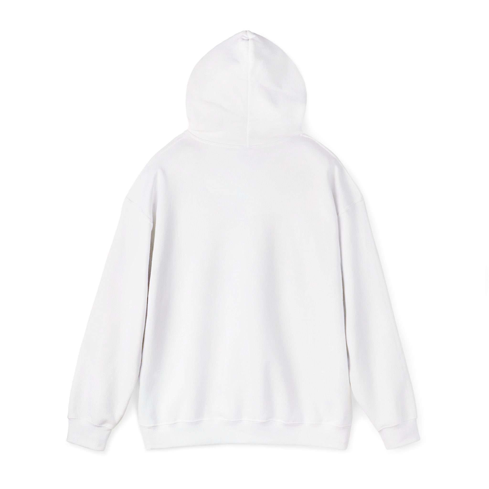 The Bridge Asset Hoodie — Ripple Bridge Logo Pullover