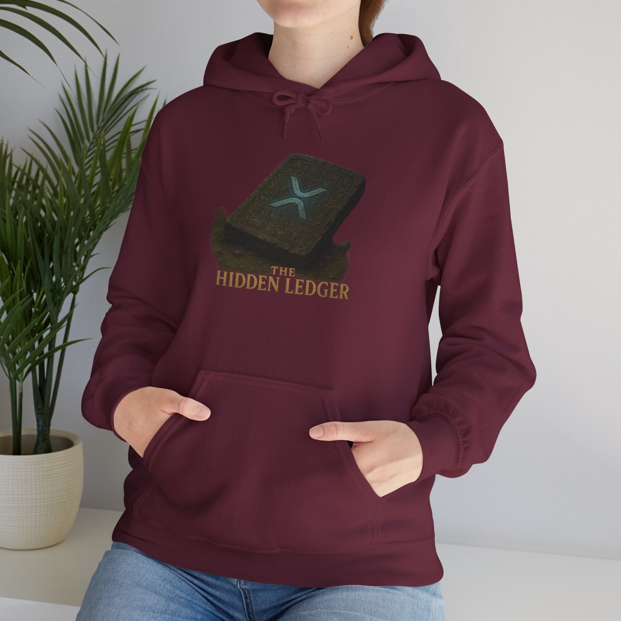 Hidden Ledger Hoodie – Crypto Treasure Chest Pullover