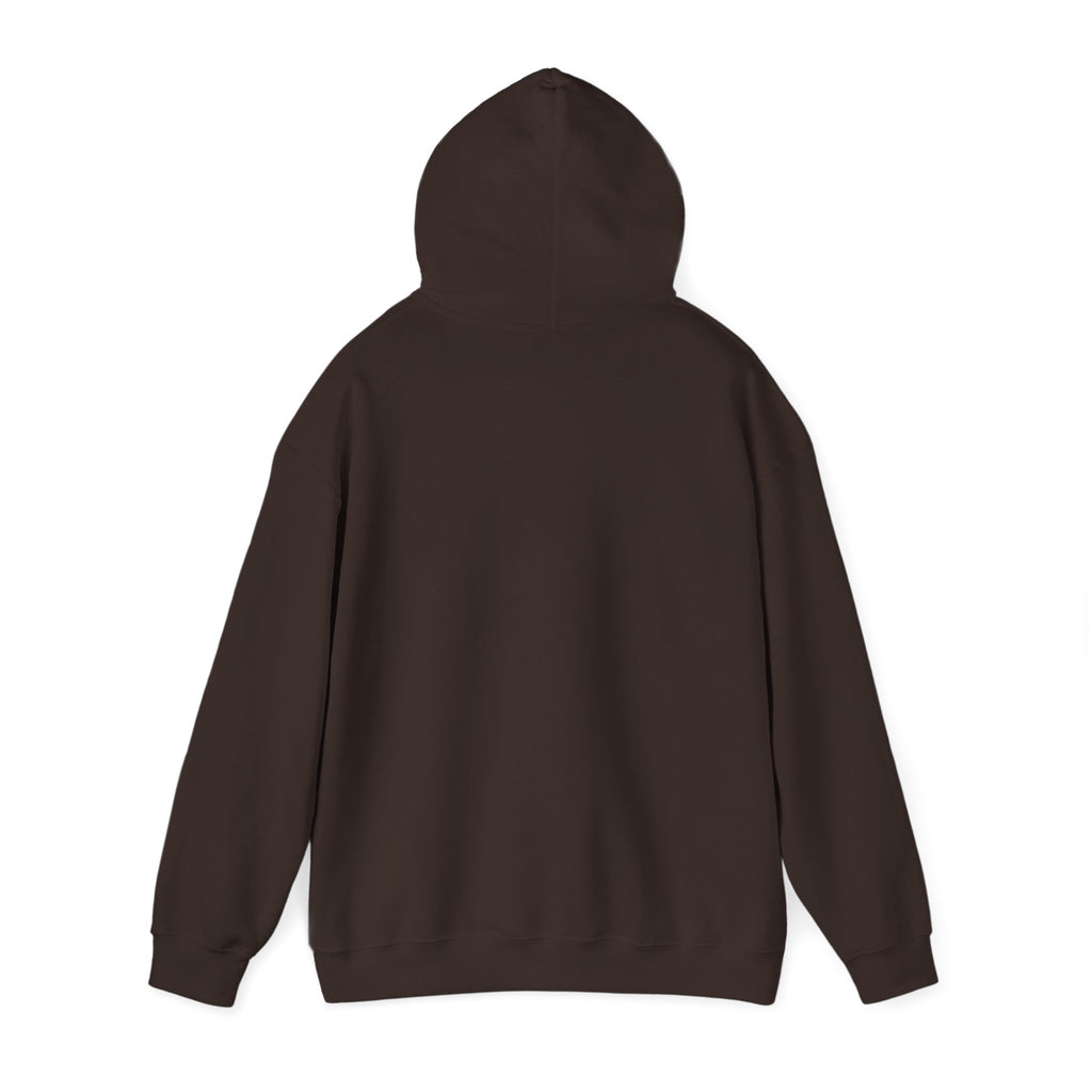 Hidden Ledger Hoodie – Crypto Treasure Chest Pullover