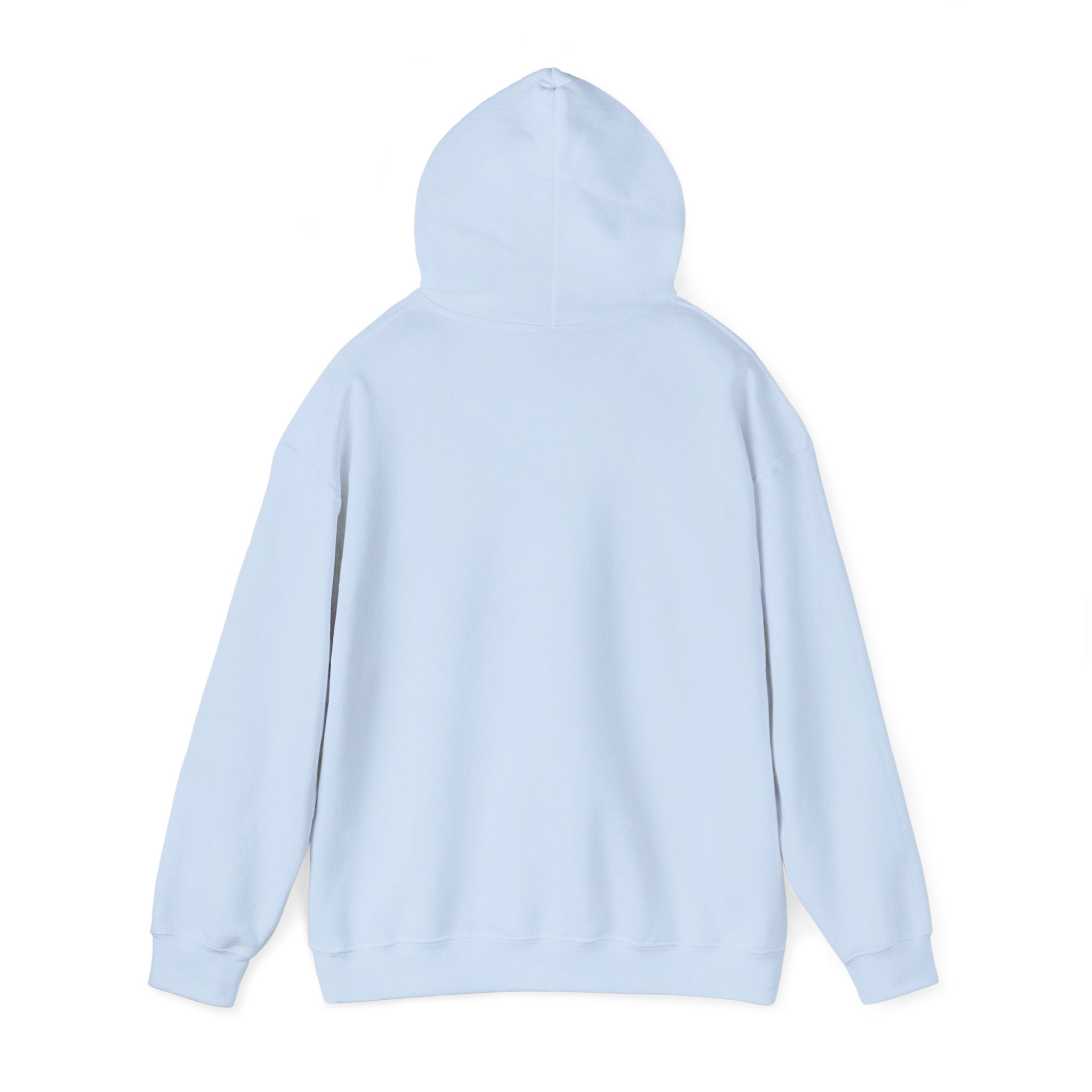 XRP "Millionaire Loading" Hoodie - Crypto Investor Sweatshirt
