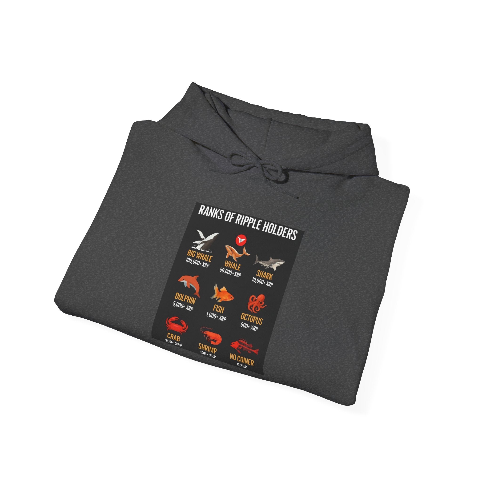 Hoodie — "Kinds of Fire: Wildfire Safety & Fire Types" Graphic Pullover