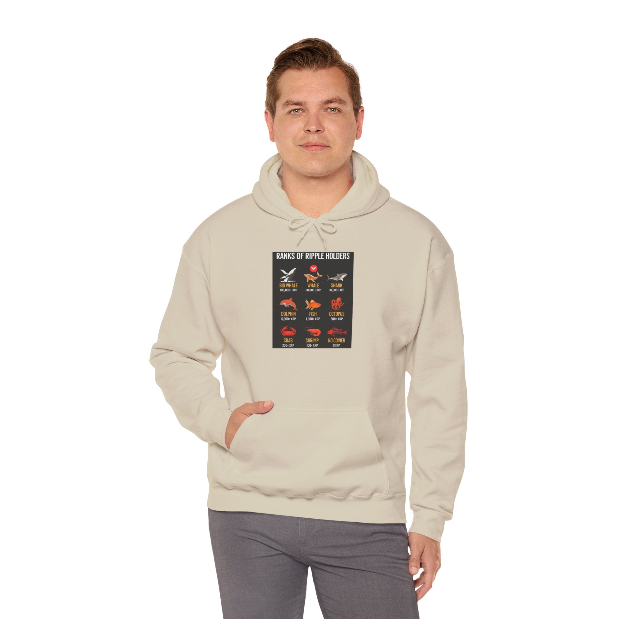 Hoodie — "Kinds of Fire: Wildfire Safety & Fire Types" Graphic Pullover
