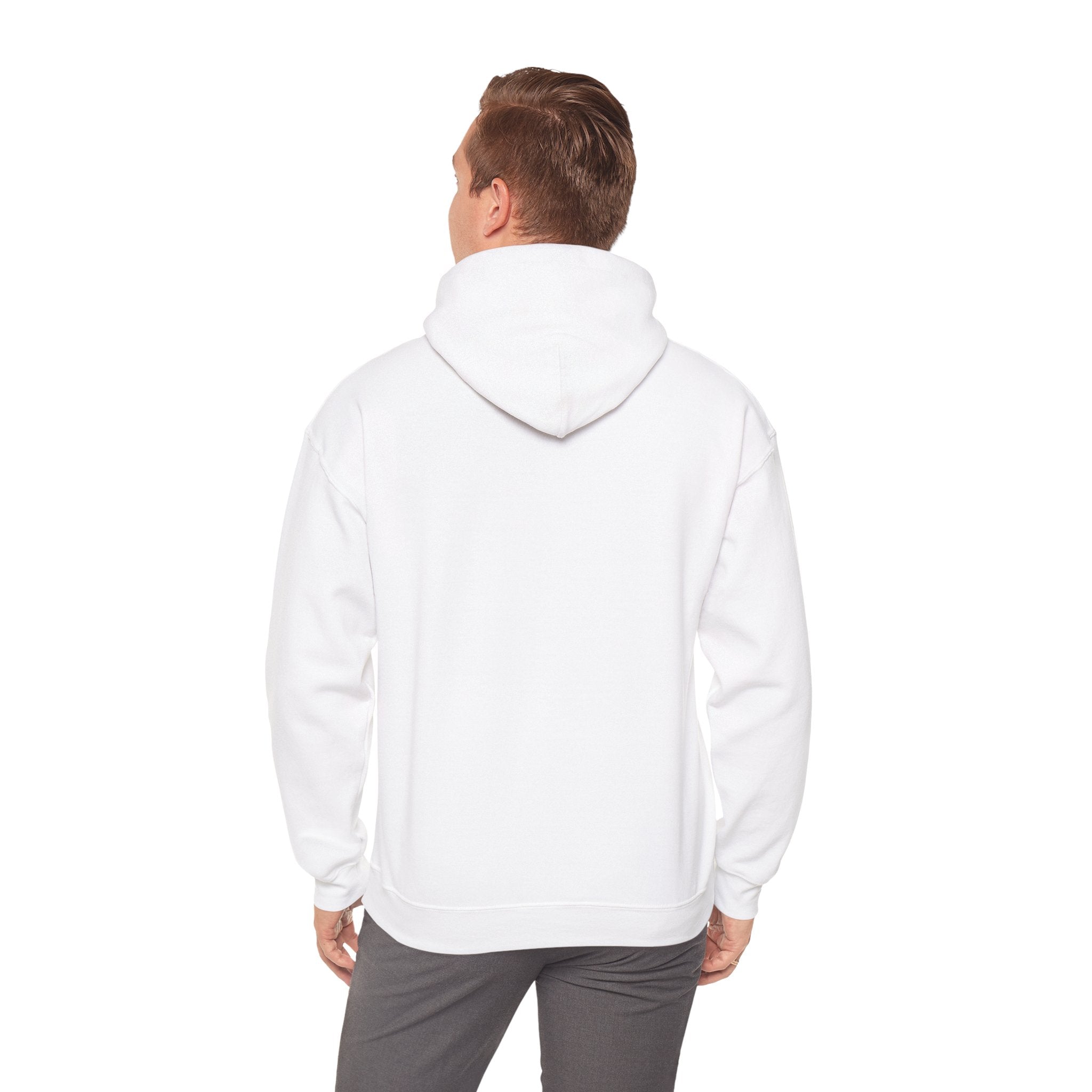 Hoodie — Digital Gold Standard Crypto Logo Pullover