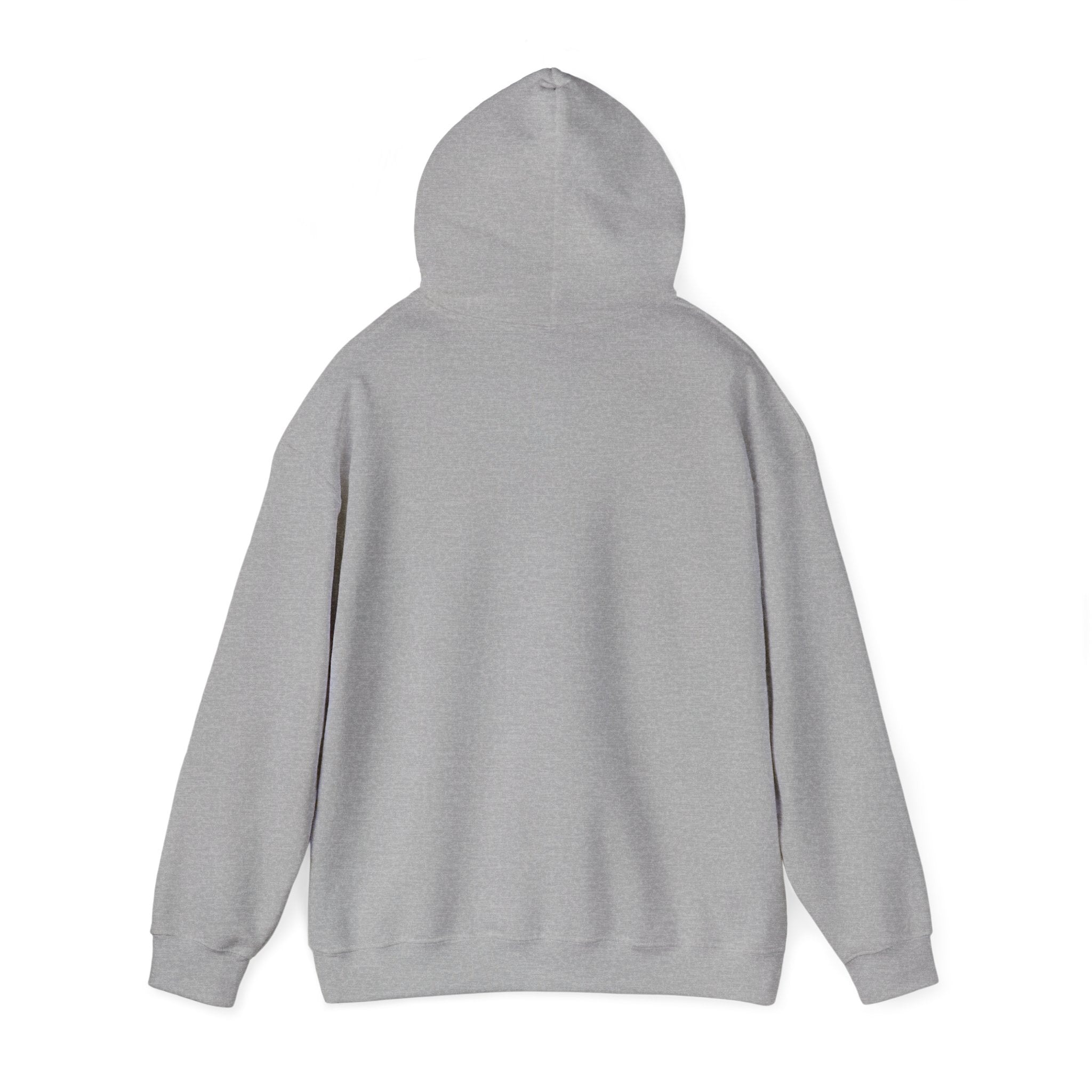 Hidden Ledger Hoodie – Crypto Treasure Chest Pullover
