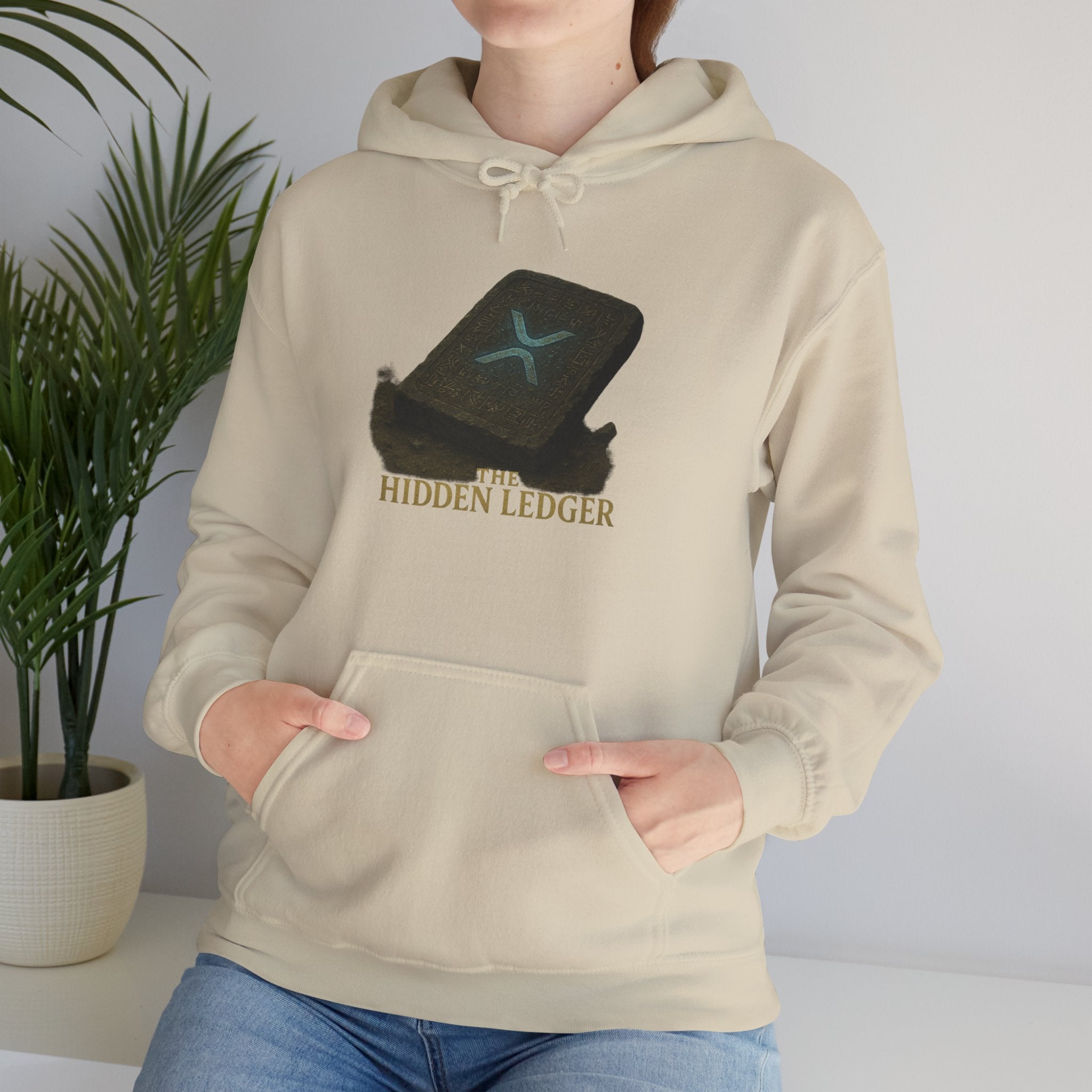 Hidden Ledger Hoodie – Crypto Treasure Chest Pullover