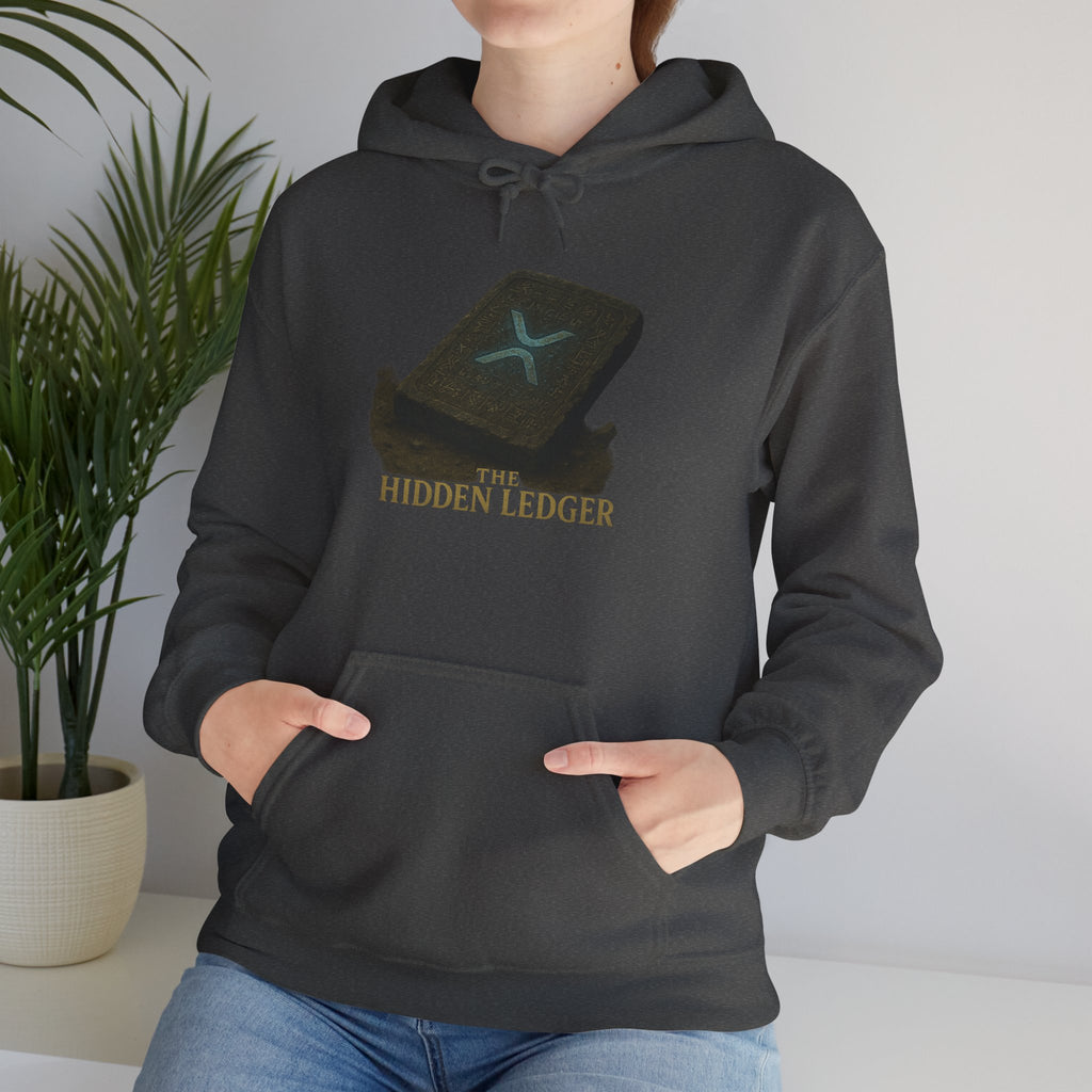 Hidden Ledger Hoodie – Crypto Treasure Chest Pullover
