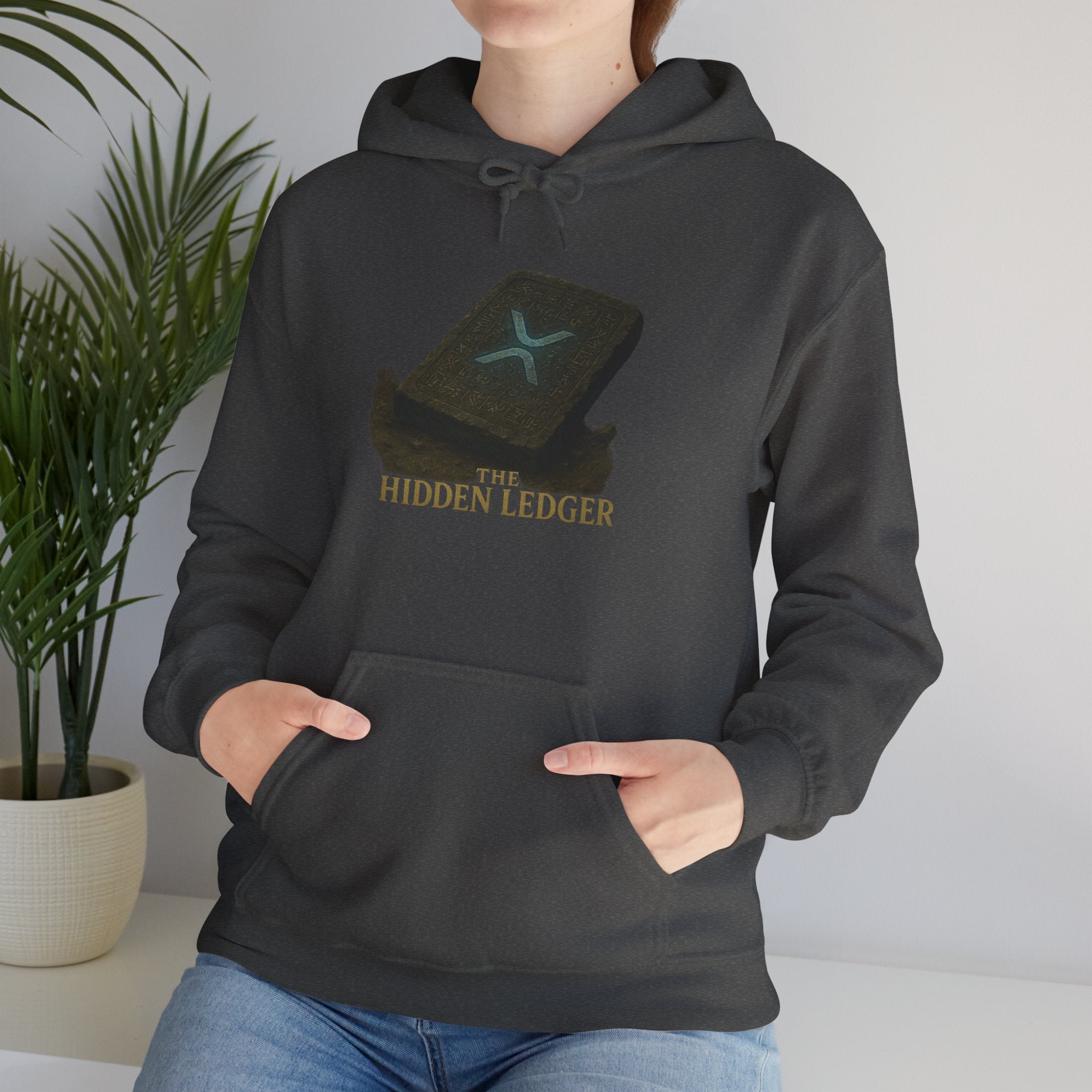 Hidden Ledger Hoodie – Crypto Treasure Chest Pullover