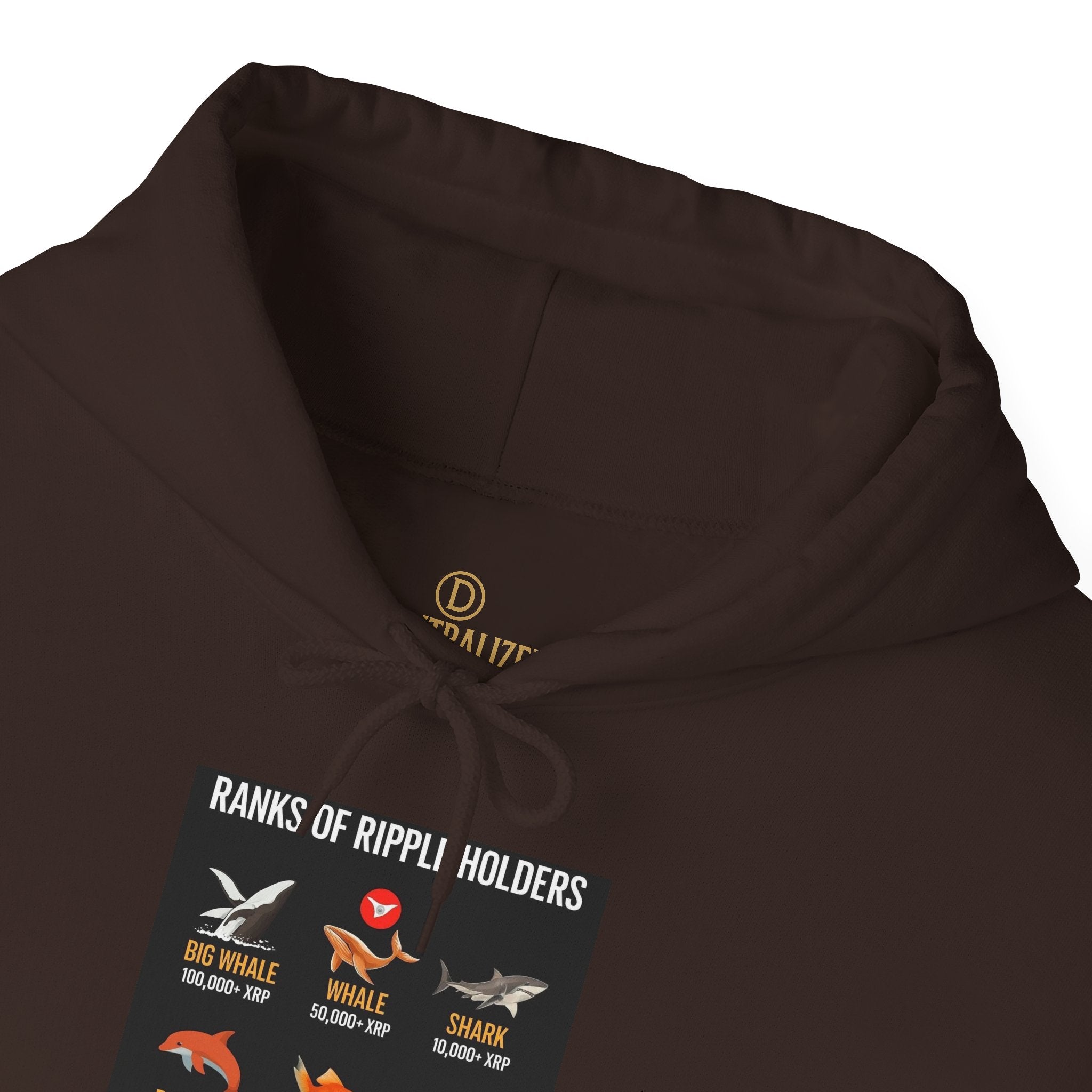 Hoodie — "Kinds of Fire: Wildfire Safety & Fire Types" Graphic Pullover