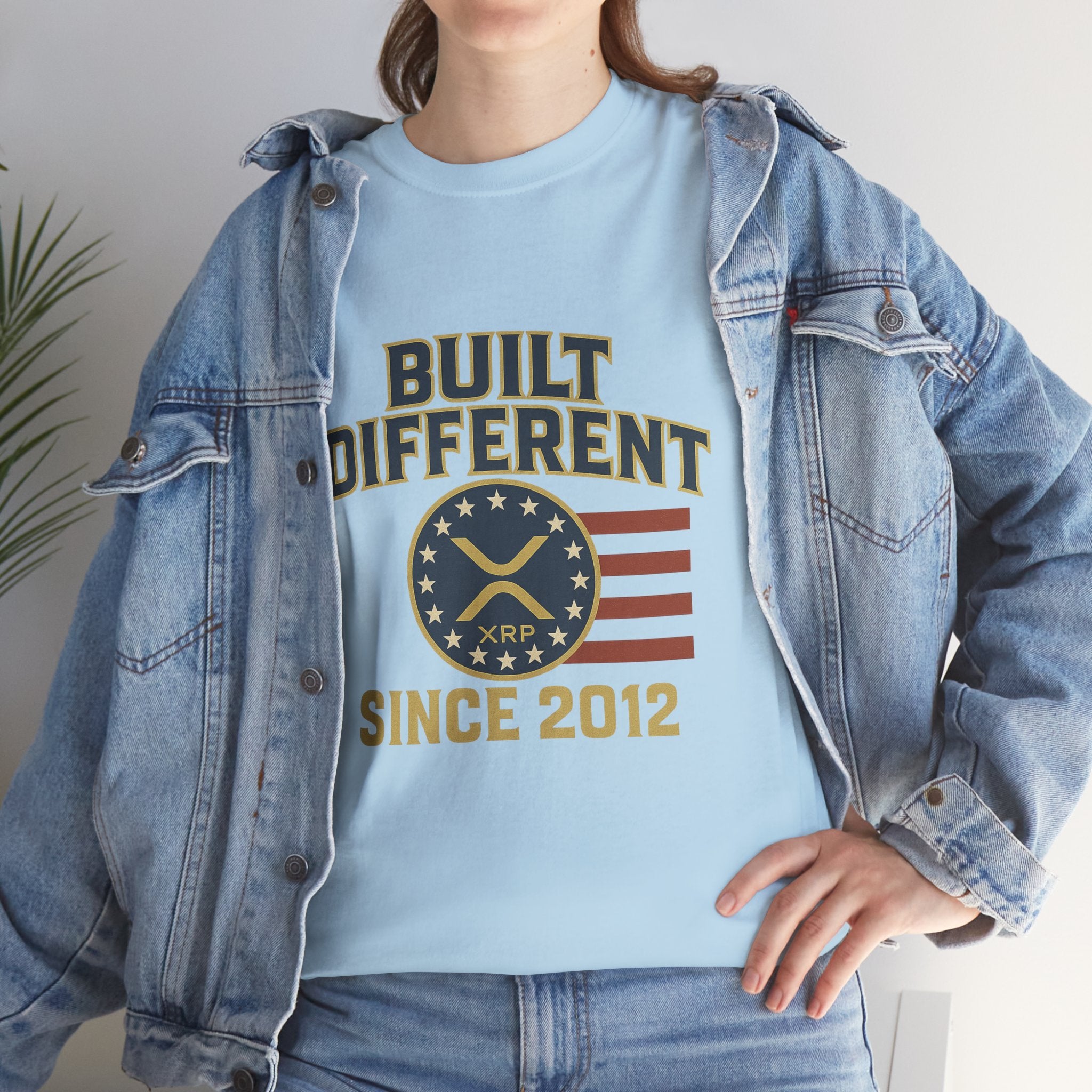 Built Different Since 2012 T-Shirt — American Flag Vintage Crew Tee