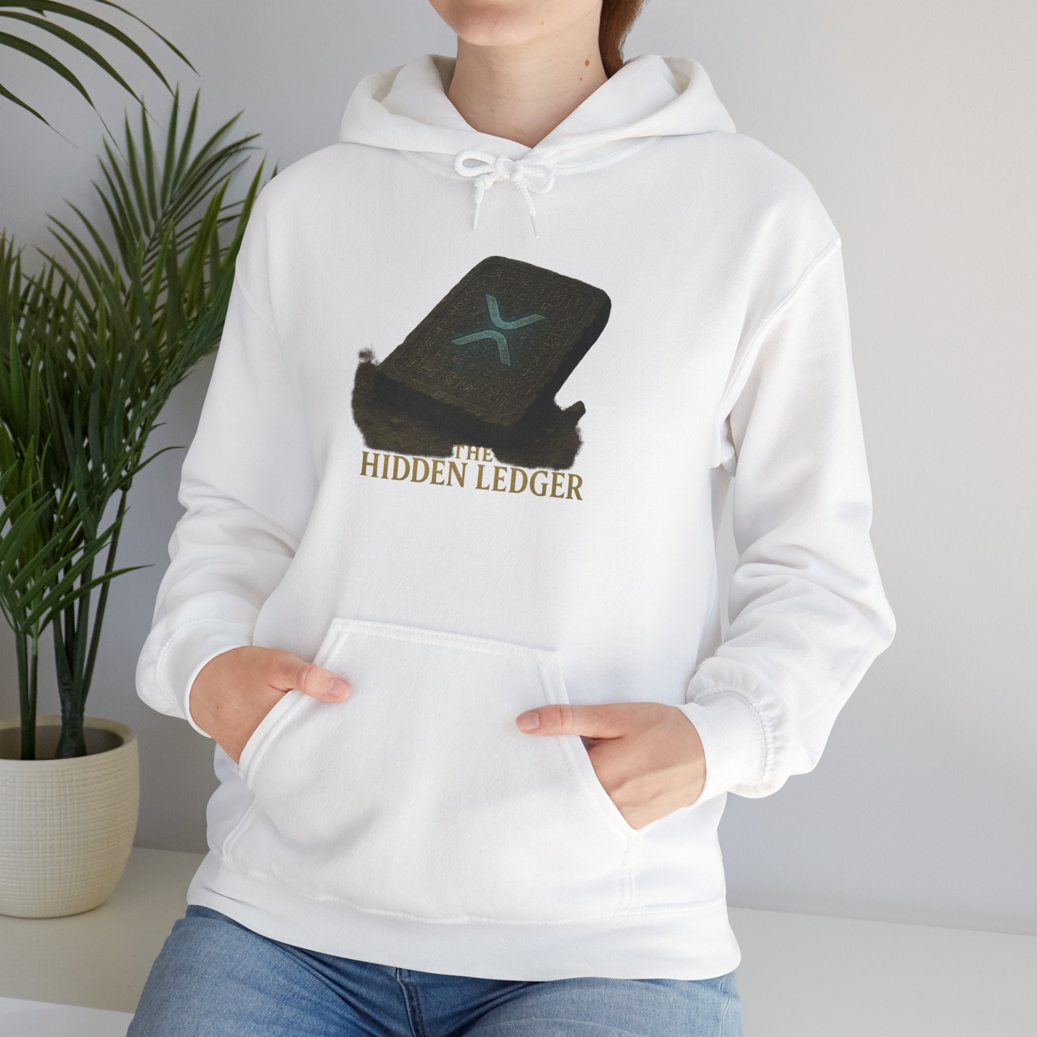 Hidden Ledger Hoodie – Crypto Treasure Chest Pullover