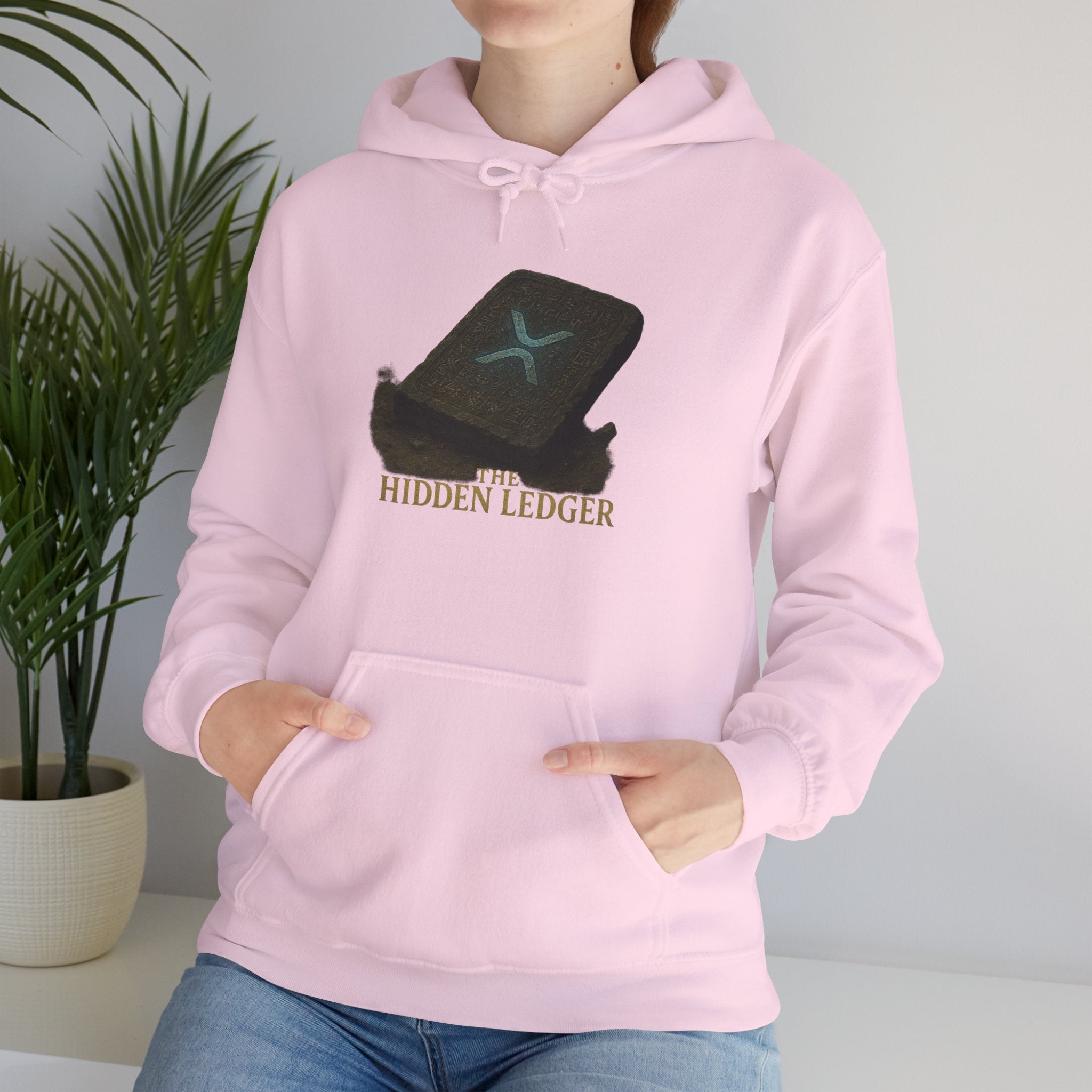 Hidden Ledger Hoodie – Crypto Treasure Chest Pullover