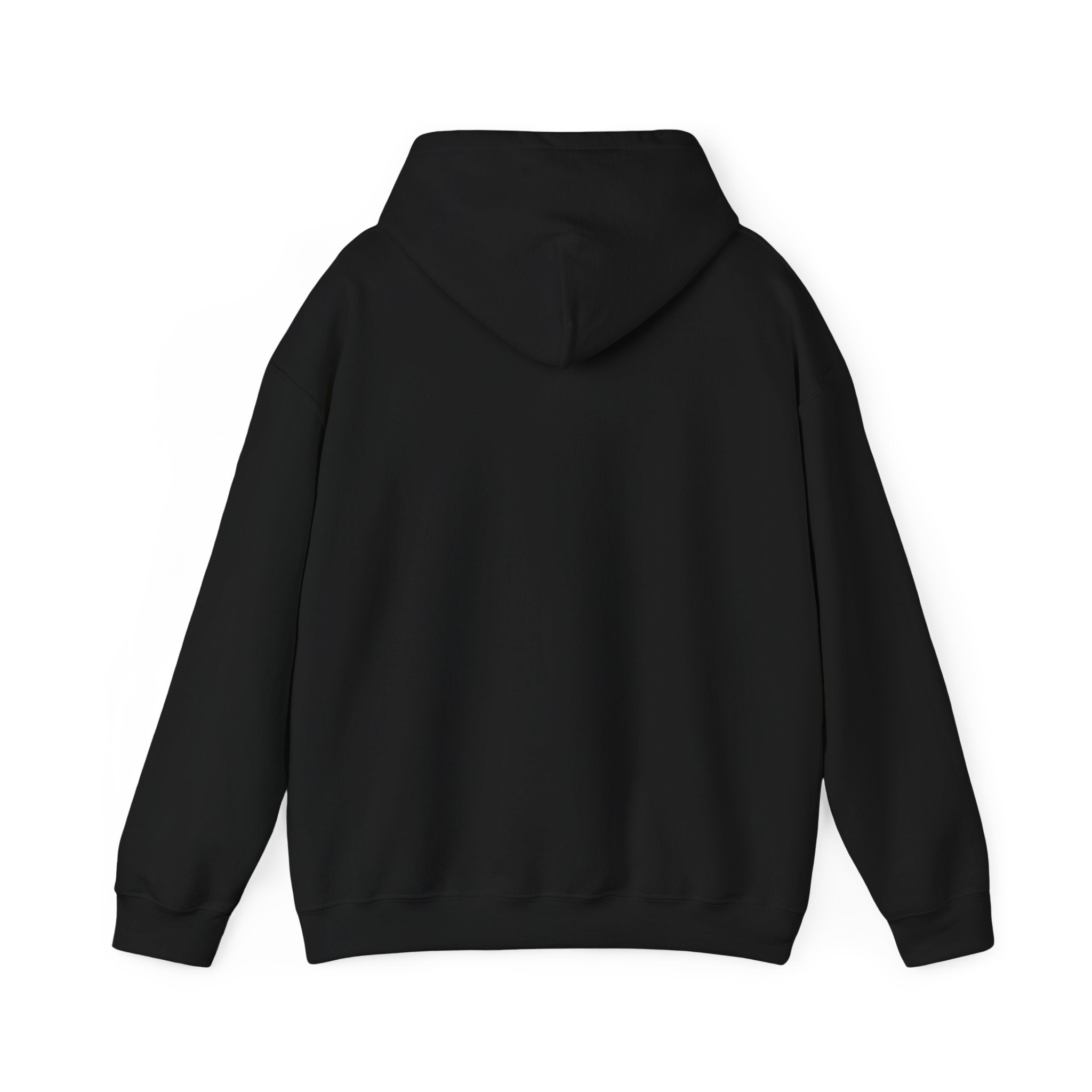 Hidden Ledger Hoodie – Crypto Treasure Chest Pullover
