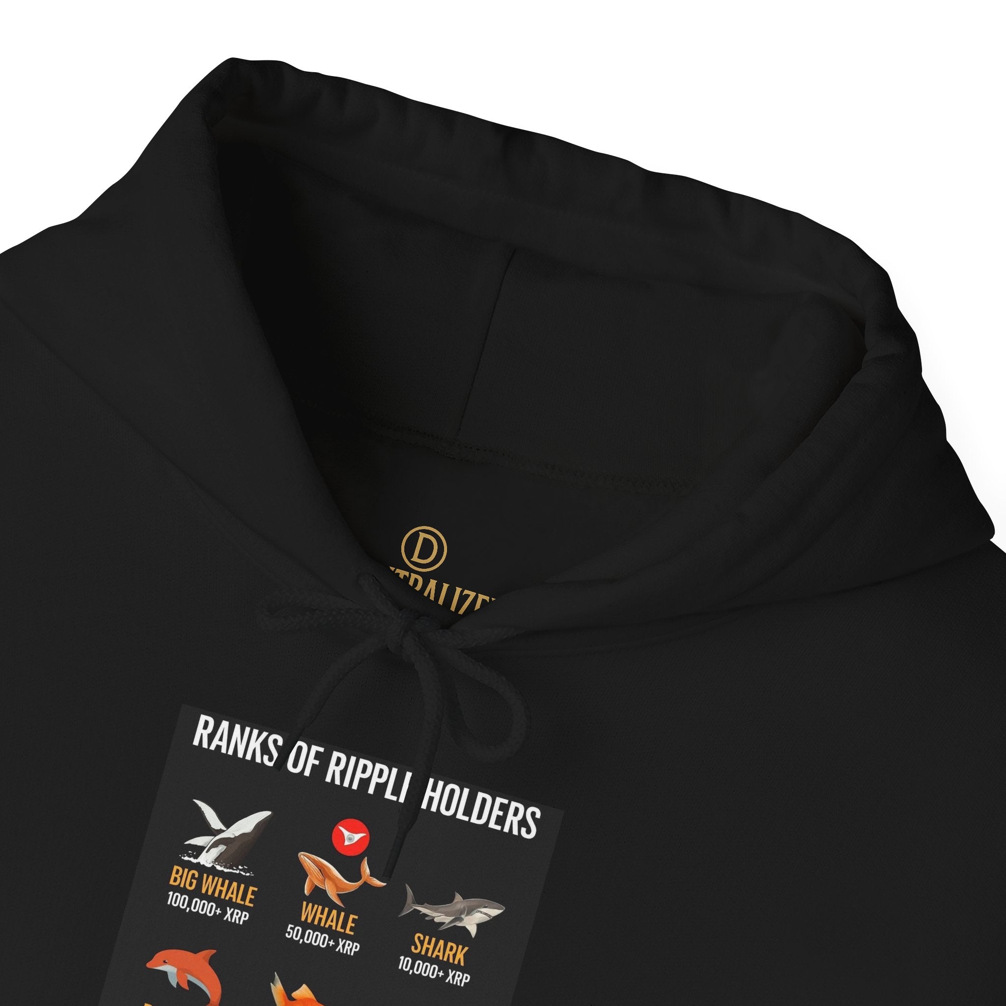 Hoodie — "Kinds of Fire: Wildfire Safety & Fire Types" Graphic Pullover