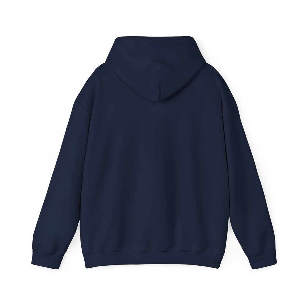 Hidden Ledger Hoodie – Crypto Treasure Chest Pullover