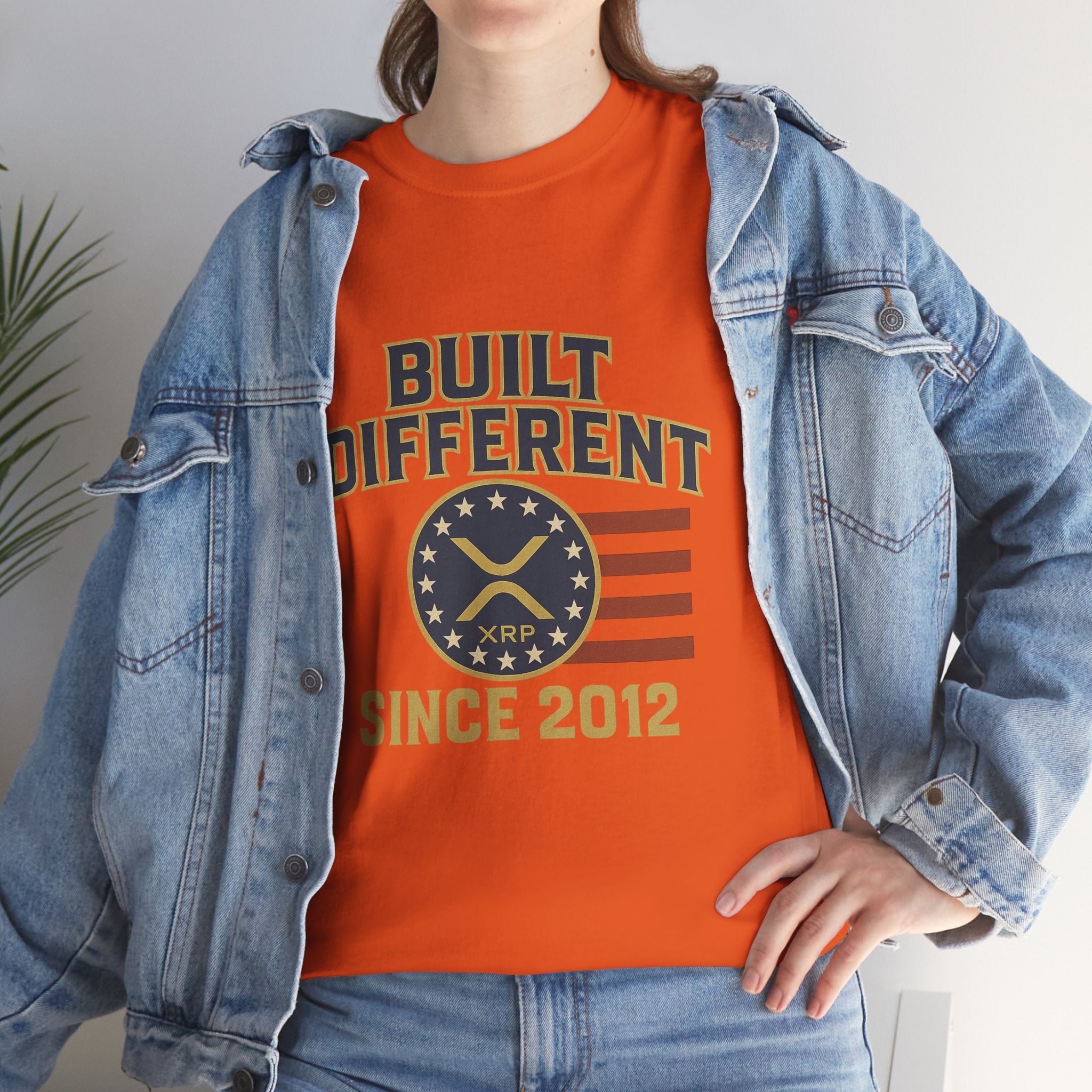 Built Different Since 2012 T-Shirt — American Flag Vintage Crew Tee