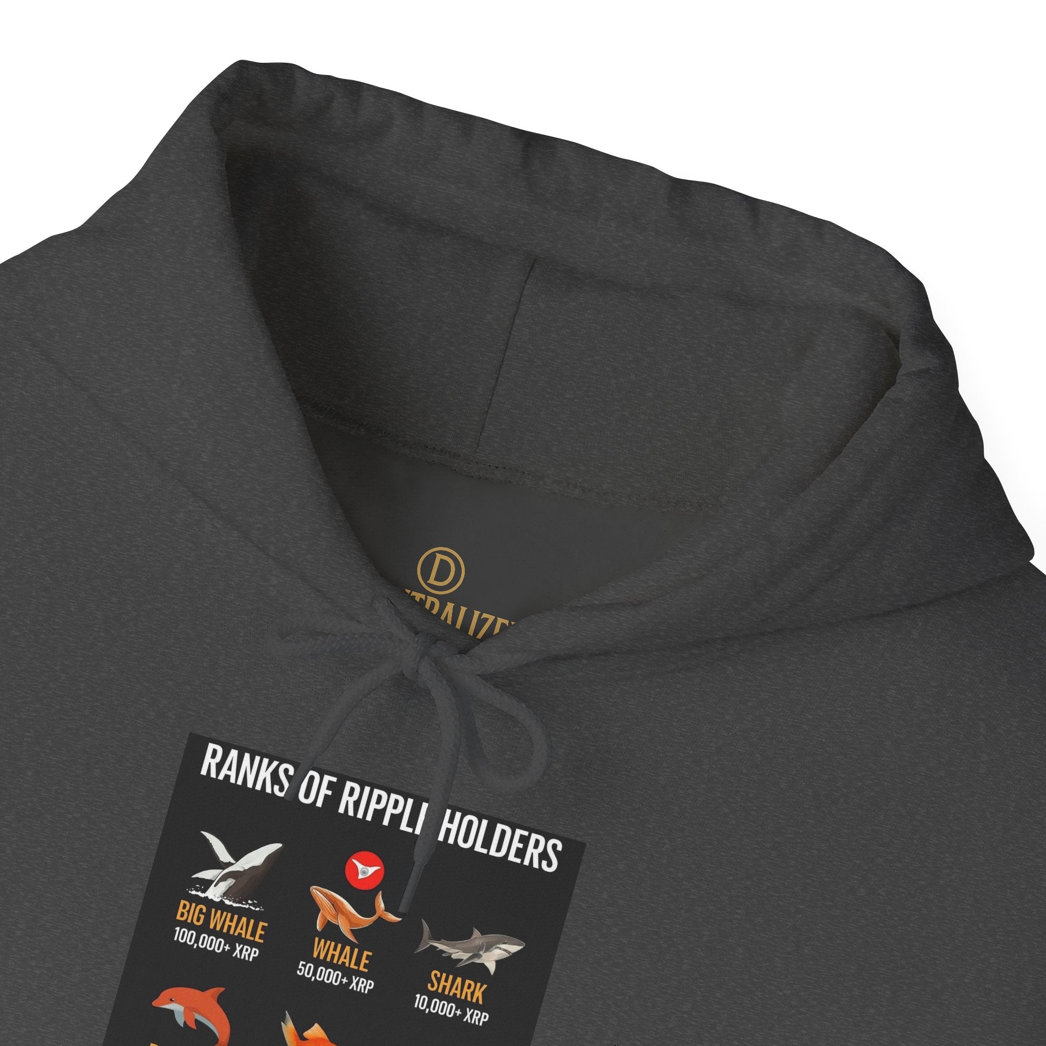 Hoodie — "Kinds of Fire: Wildfire Safety & Fire Types" Graphic Pullover