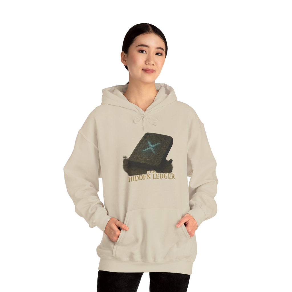 Hidden Ledger Hoodie – Crypto Treasure Chest Pullover