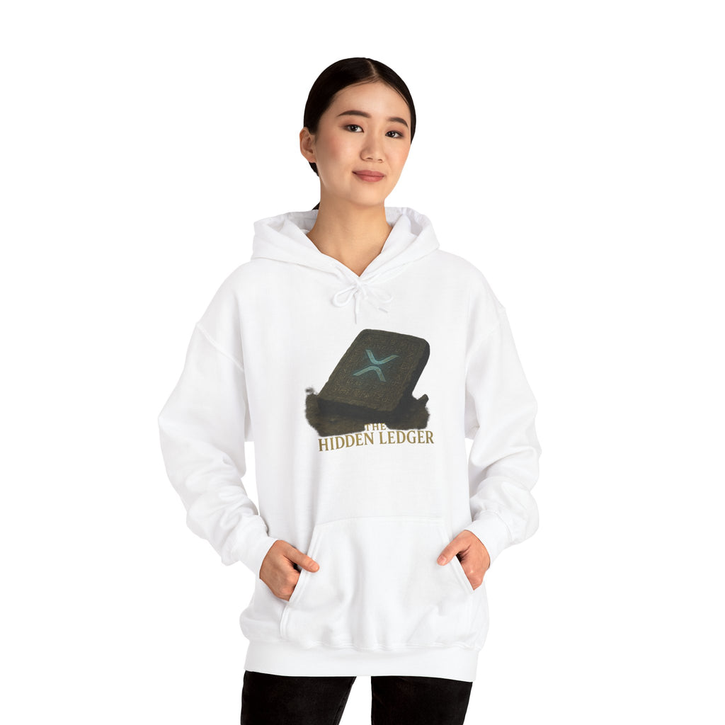 Hidden Ledger Hoodie – Crypto Treasure Chest Pullover