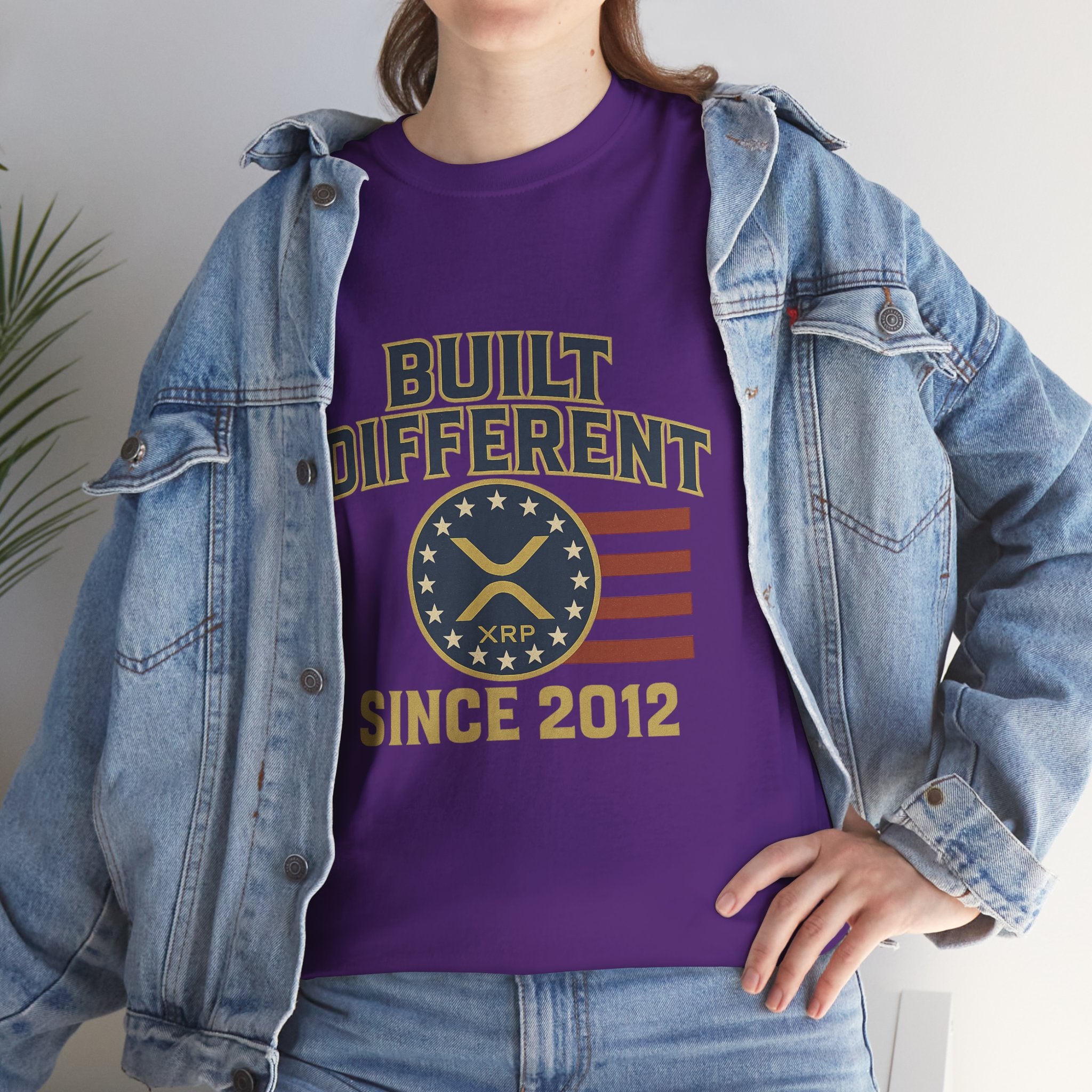Built Different Since 2012 T-Shirt — American Flag Vintage Crew Tee
