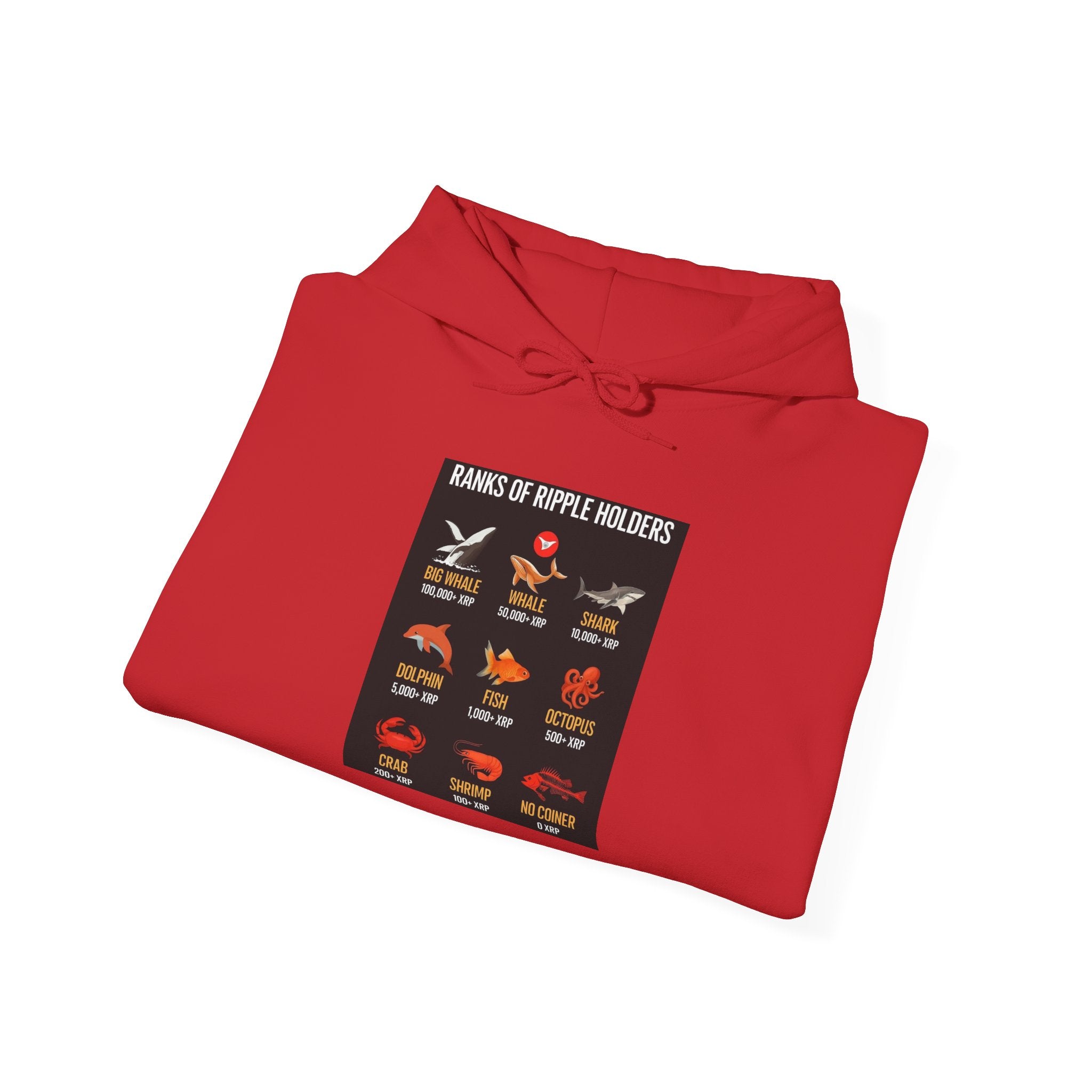 Hoodie — "Kinds of Fire: Wildfire Safety & Fire Types" Graphic Pullover
