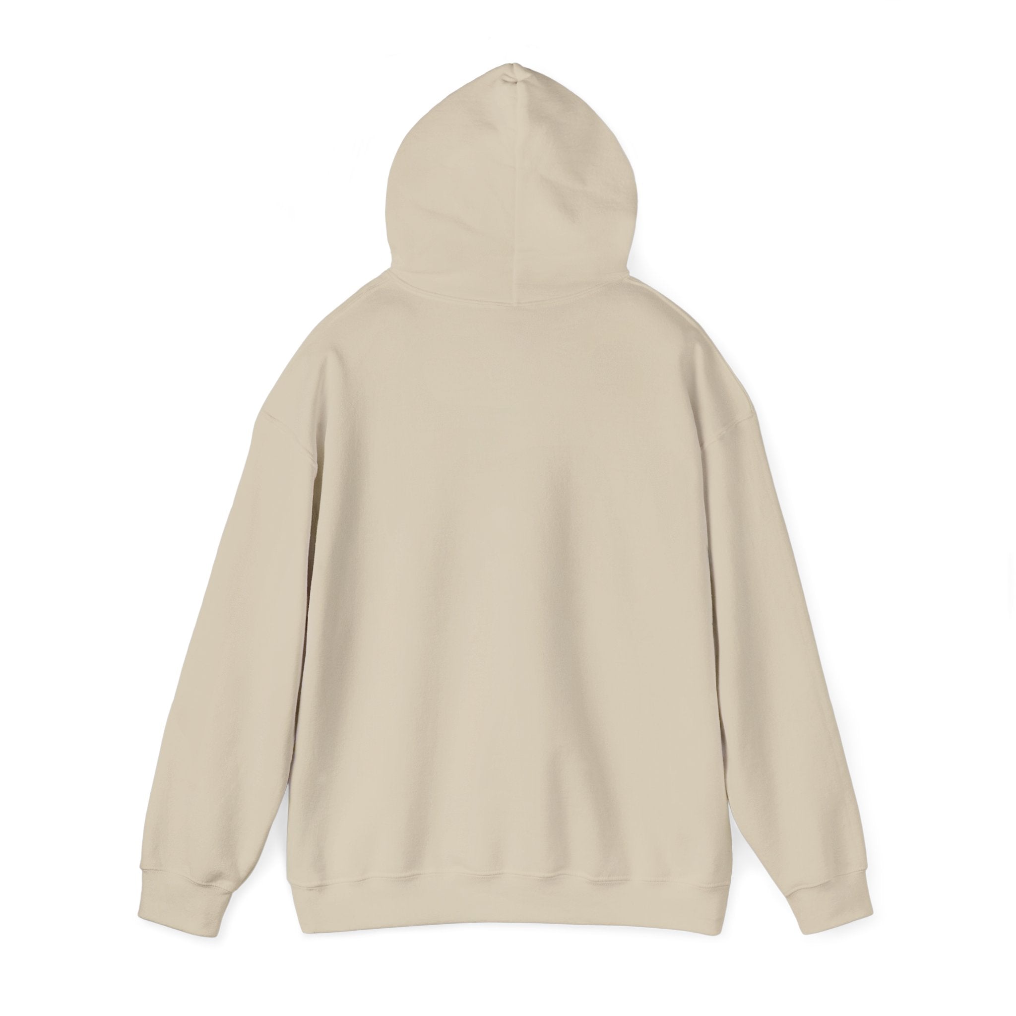 Hoodie — Digital Gold Standard Crypto Logo Pullover
