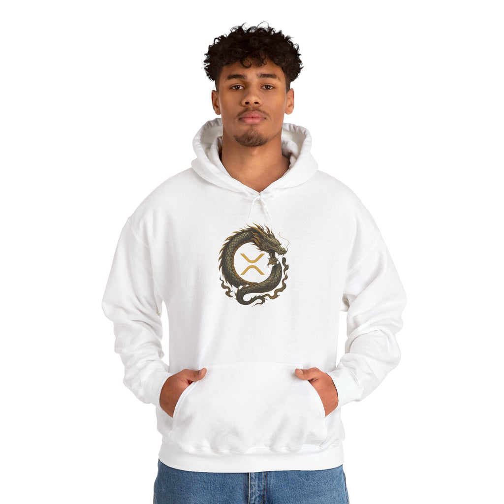 Dragon Ouroboros Hoodie with Ripple Rune — Mythic Symbol Pullover